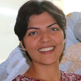 Yalda Mohsenzadeh